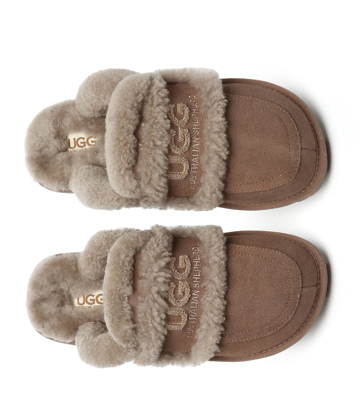 Australian Shepherd UGG Rilee - Brown