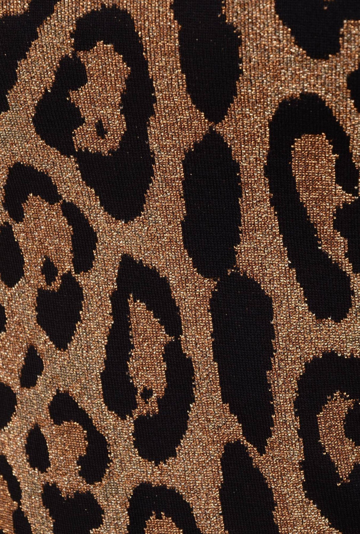 Dolce & Gabbana Women Animal Print Jumper