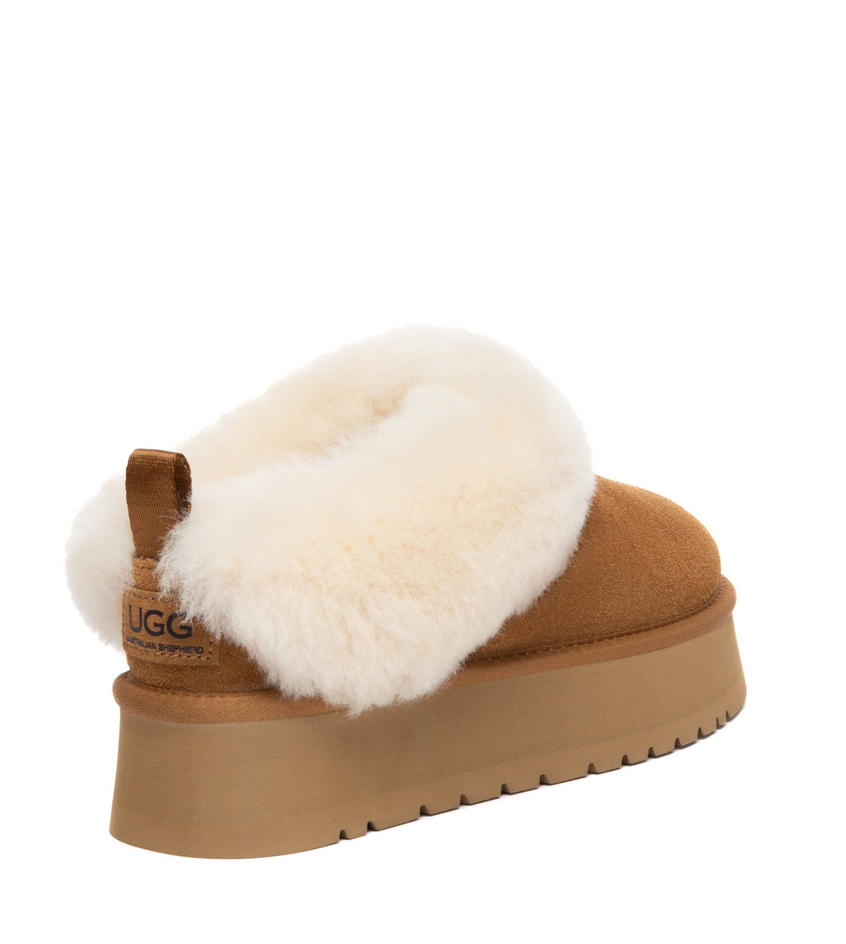 Australian Shepherd UGG Glacial - Chestnut