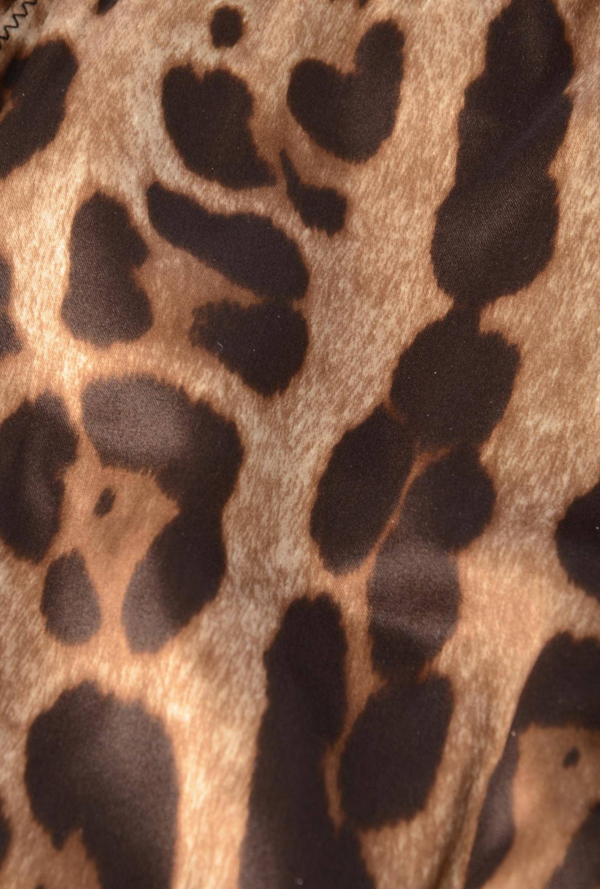 Dolce & Gabbana Women Animal Print Panties
