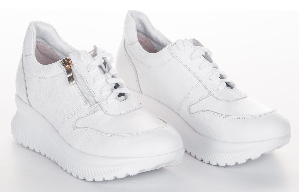 Bosccolo Womens Sneakers With Zipper - White