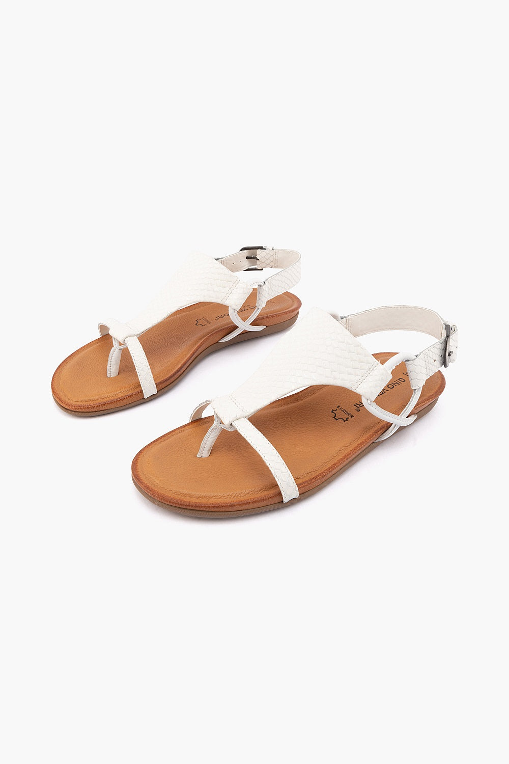 Gino Ventori Classic Polaris - White