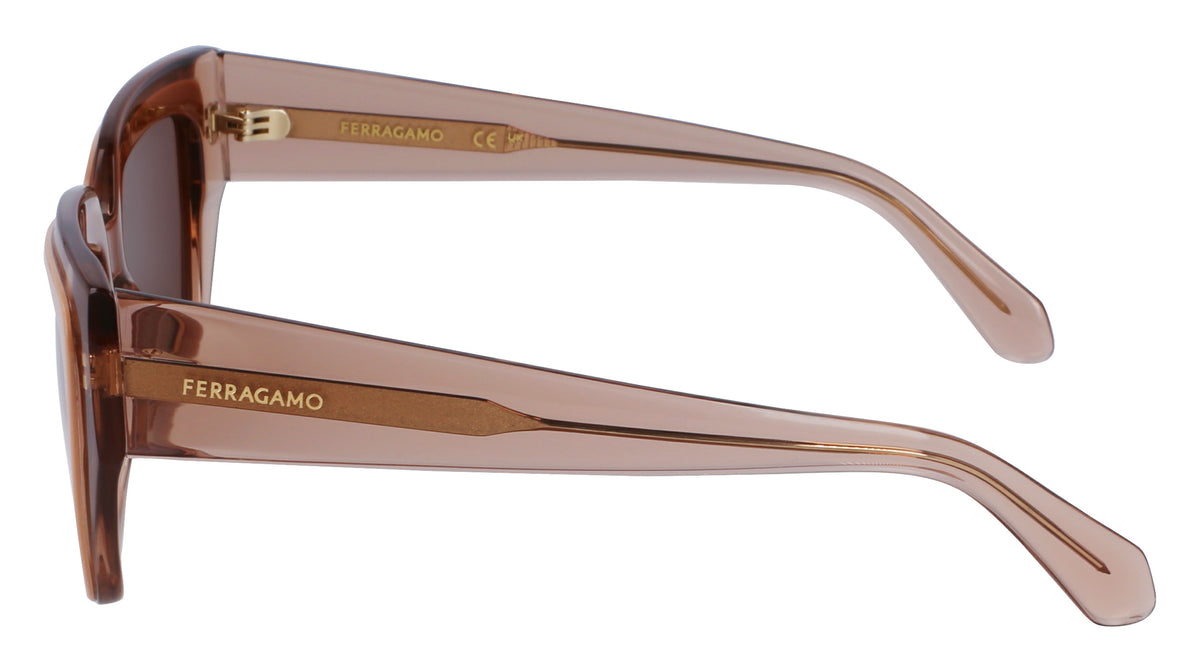 Salvatore Ferragamo SF2002S Womens Sunglasses - Transparent Nude/Rose