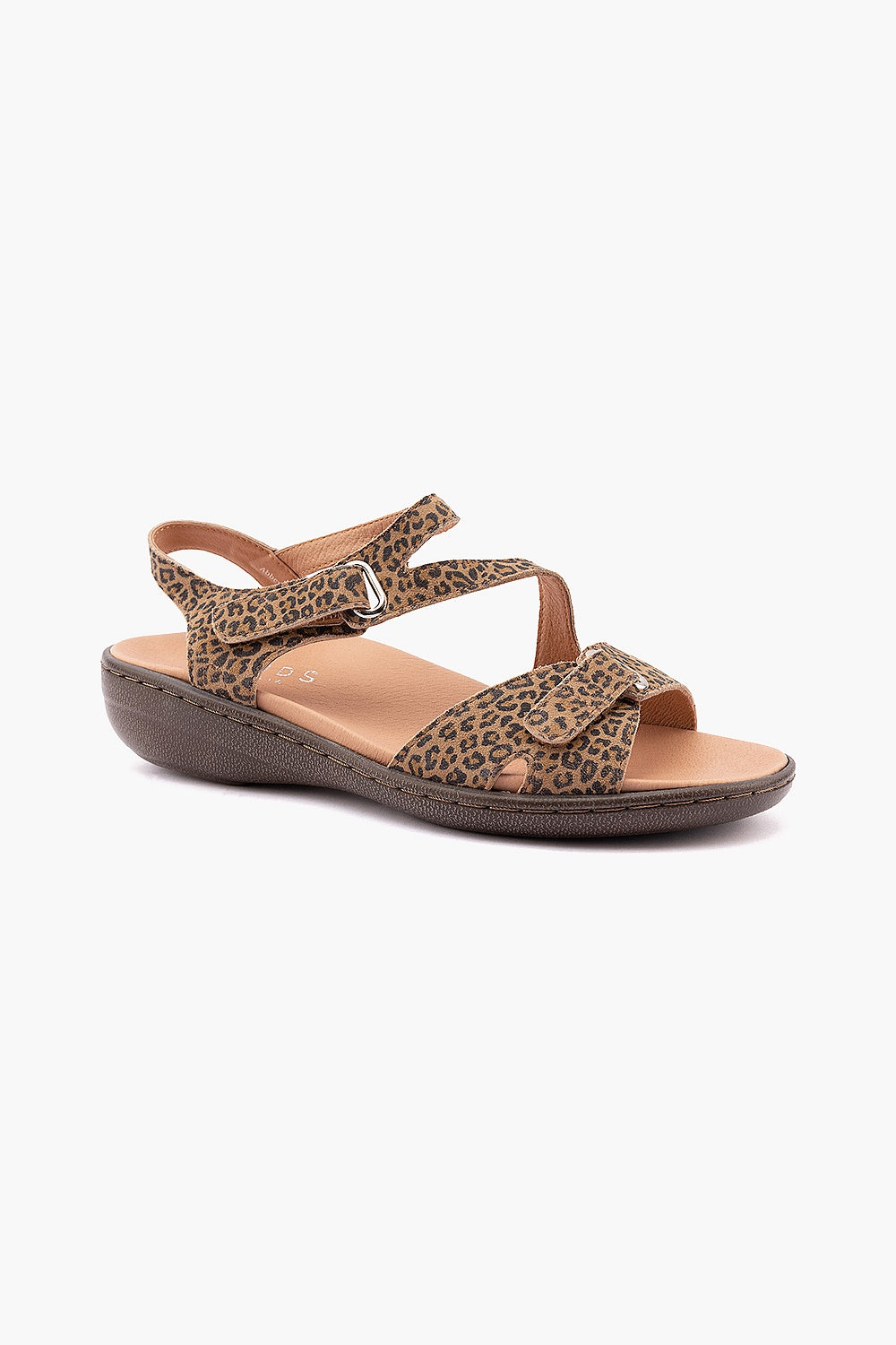 Klouds Abbey Leopard