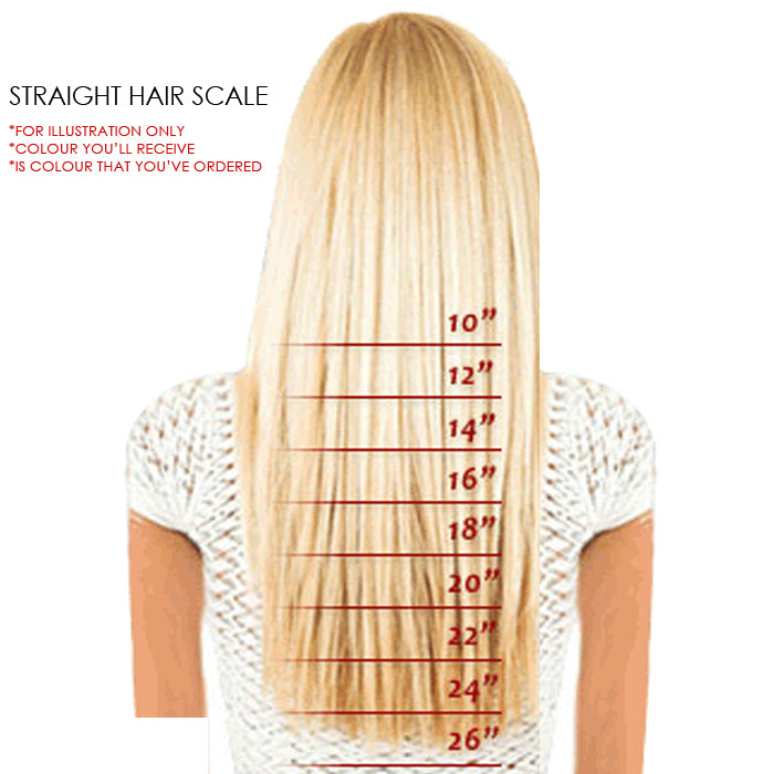 2Pcs Two Tone Ombre High Grade Silver Gray Straight Clip On Pony Tail 24" Hair Clamp11 2X