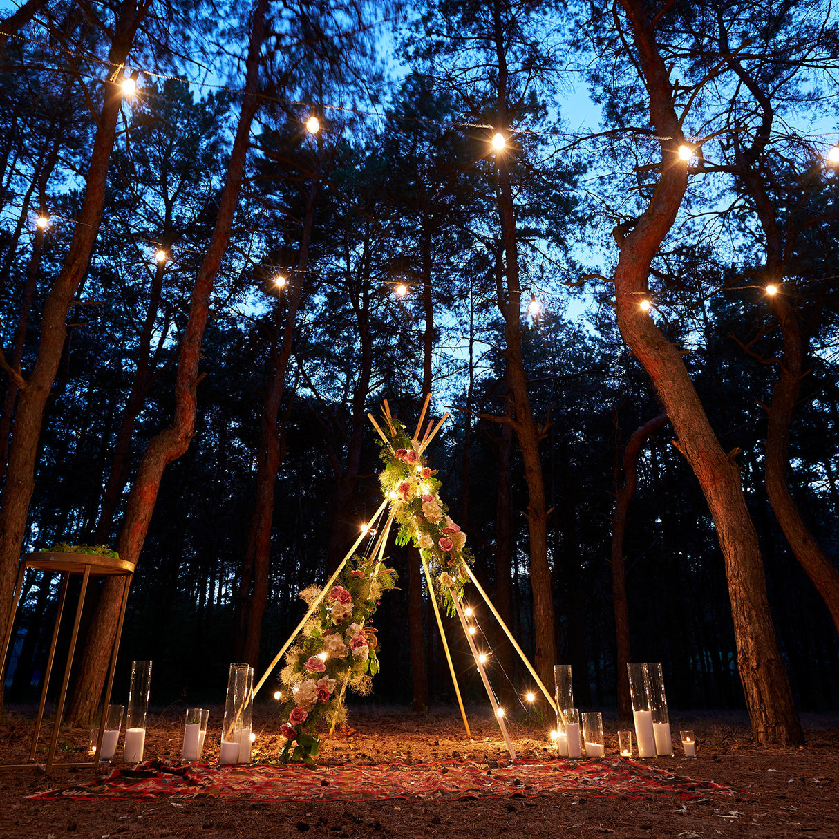 LumiFx 20 Bulb Festoon Lights 8 Lighting Effects