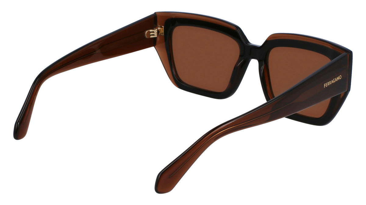 Salvatore Ferragamo SF2002S Womens Sunglasses - Transparent Brown/Brown