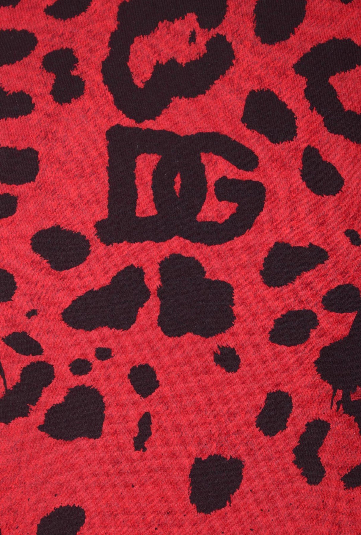 Dolce & Gabbana Men Animal Print Short Sleeve T-shirt