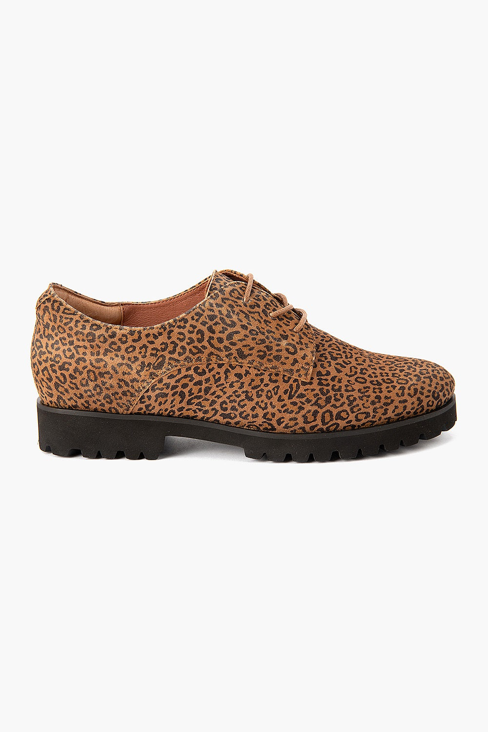 Silver Lining Frenchie Leopard
