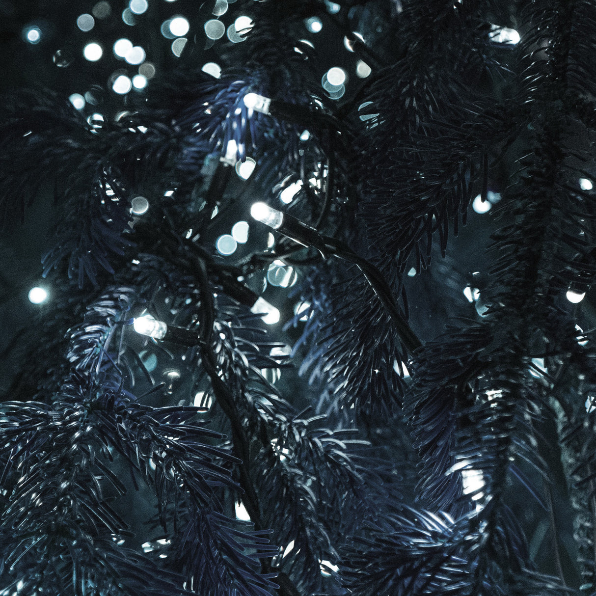 Milano Decor LED WHITE Fairy Lights (200 Lights)