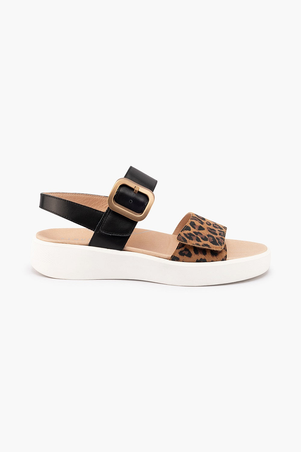 Klouds Isla Black Leopard Combo