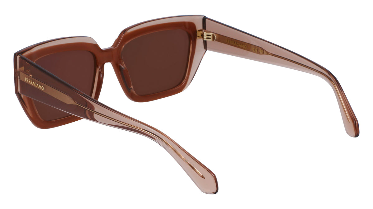 Salvatore Ferragamo SF2002S Womens Sunglasses - Transparent Nude/Rose