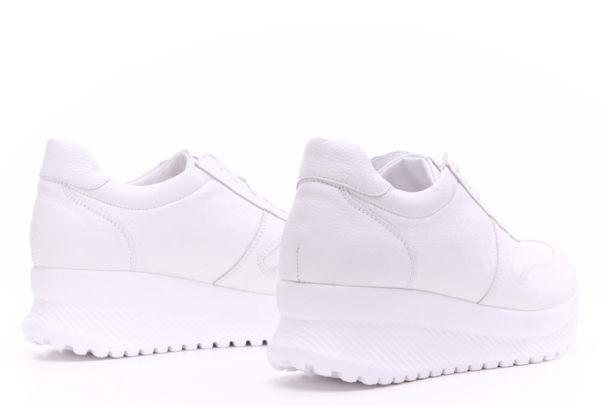 Bosccolo Womens Sneakers - White