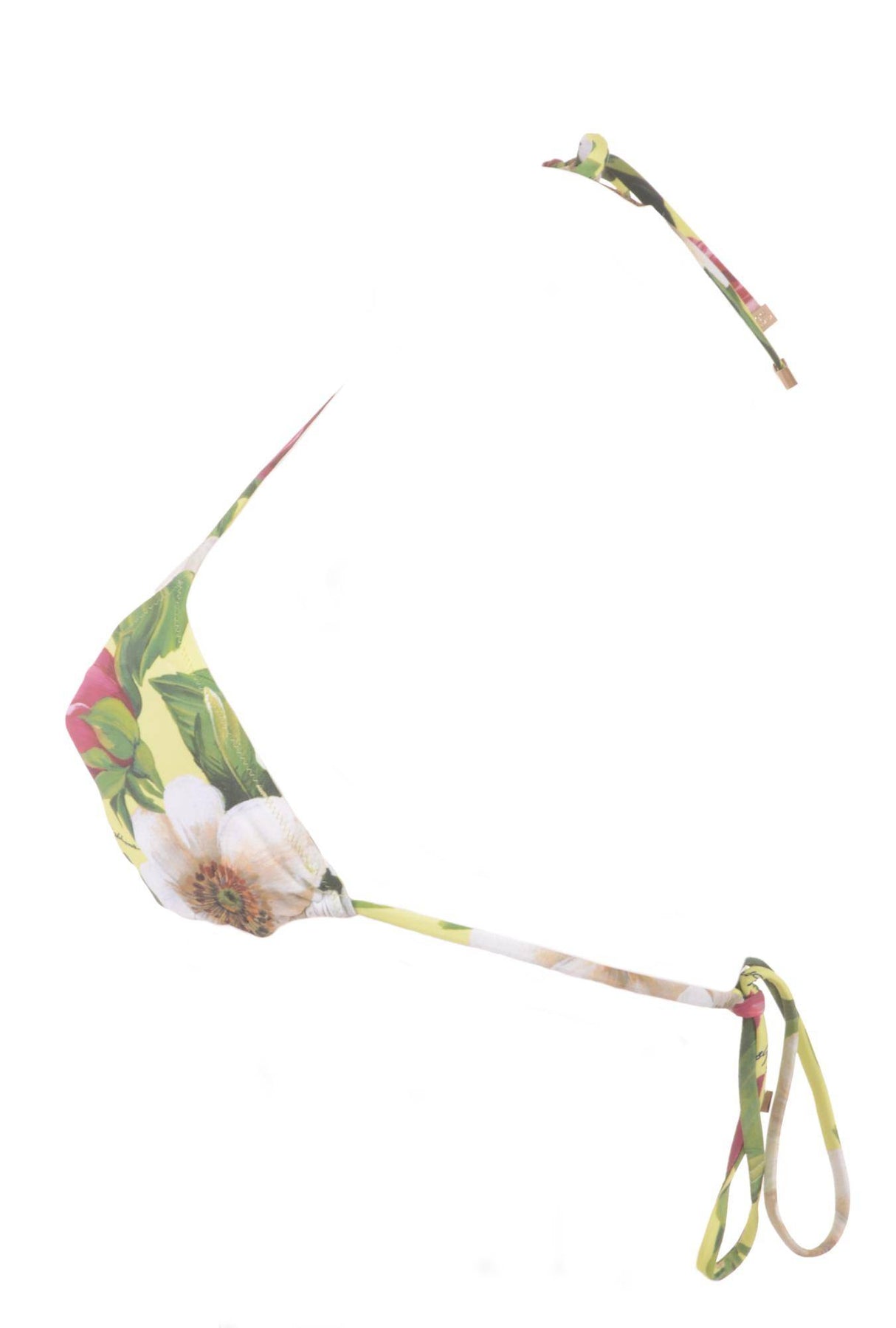 Dolce & Gabbana Women Flowers Bikini
