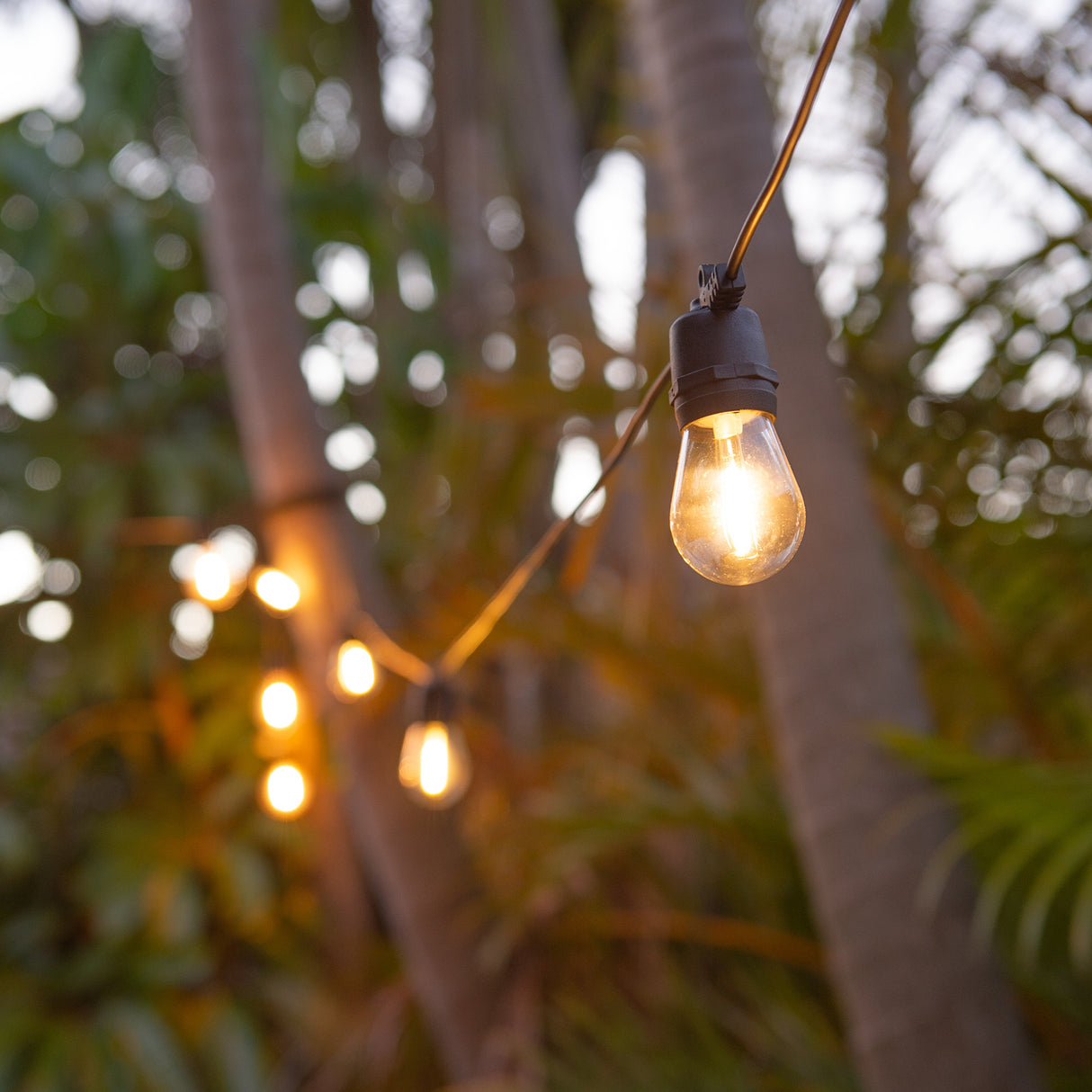 LumiFx 10 Bulb Festoon Lights 8 Lighting Effects