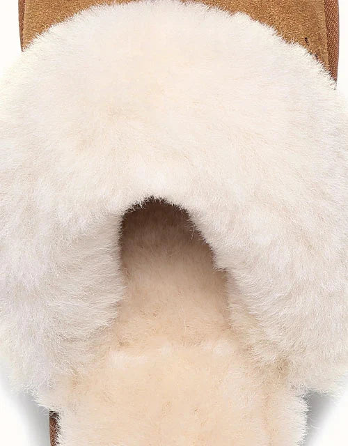 Muffin Slipper in Chestnut