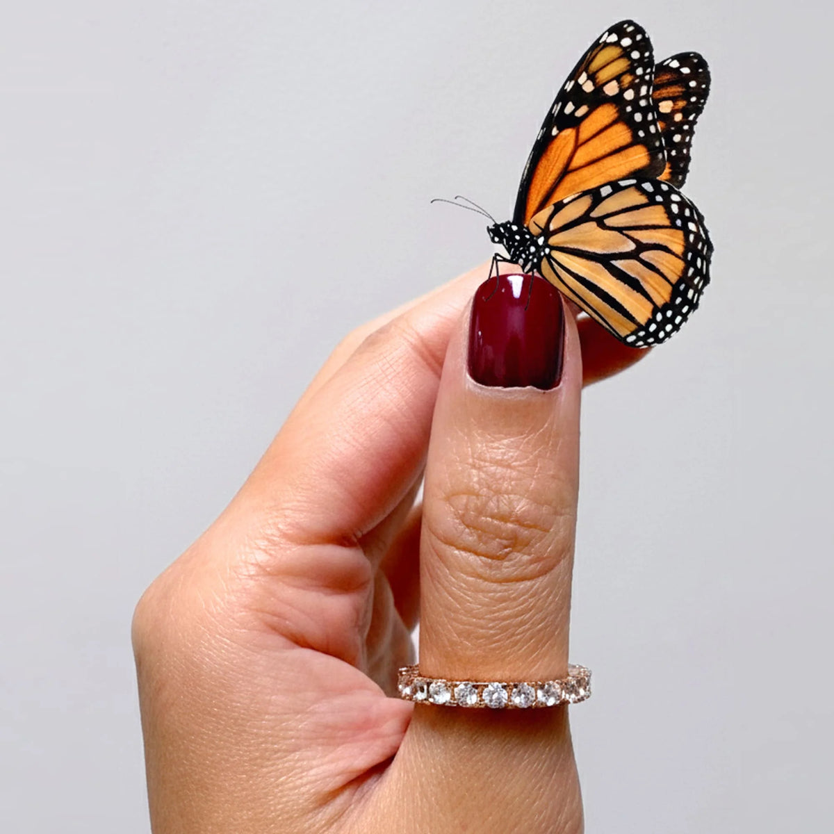 Bullion Gold Wide Paradise Ring