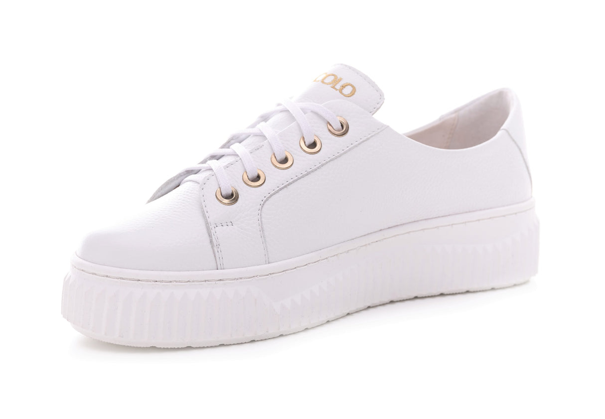 Bosccolo Womens Sneakers - White