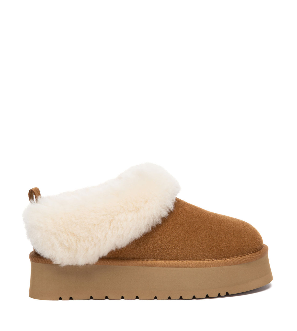 Australian Shepherd UGG Glacial - Chestnut