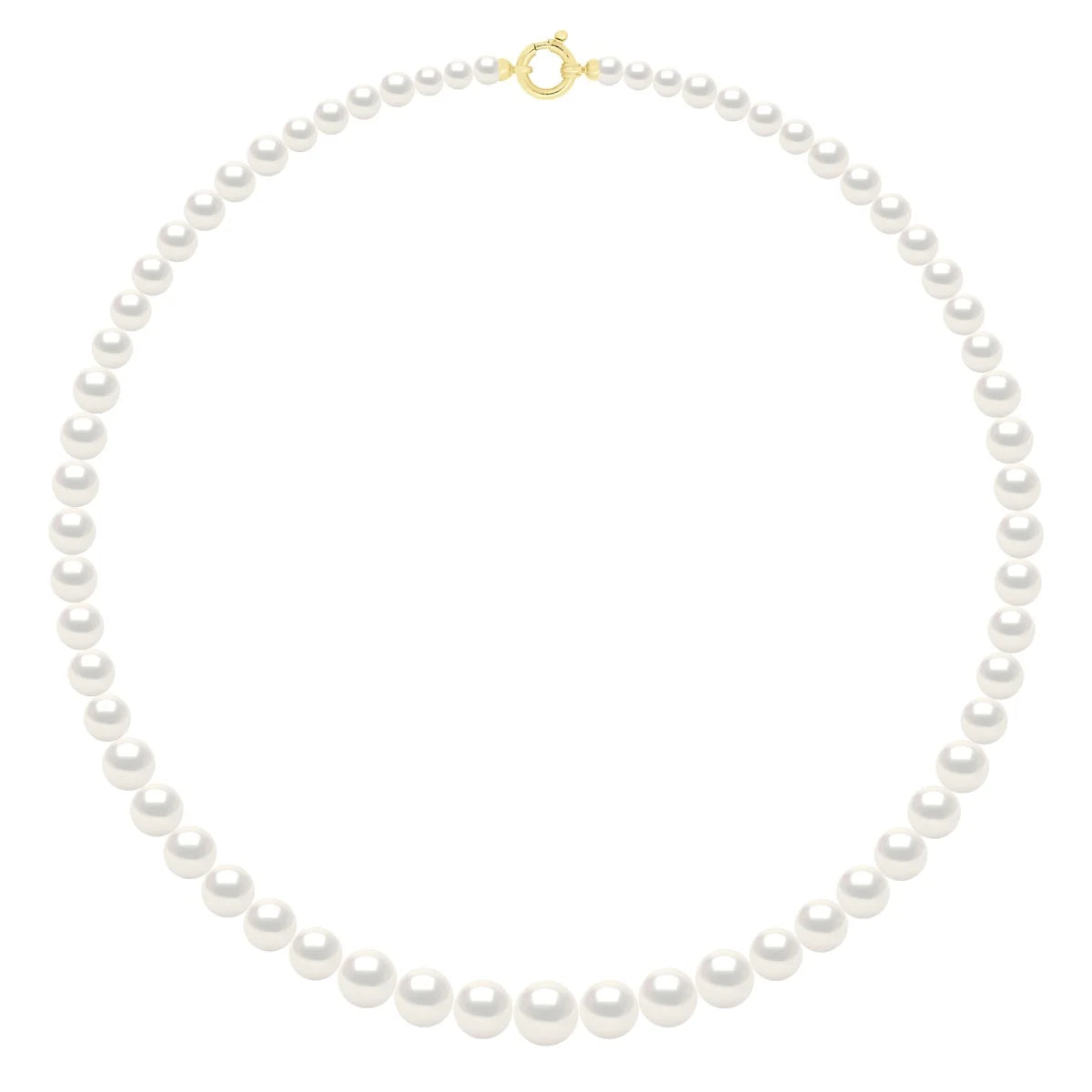 Necklace Prestige Semi-Round Freshwater Pearl White 11-5mm