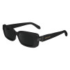 Salvatore Ferragamo SF1105S Womens Sunglasses - Black