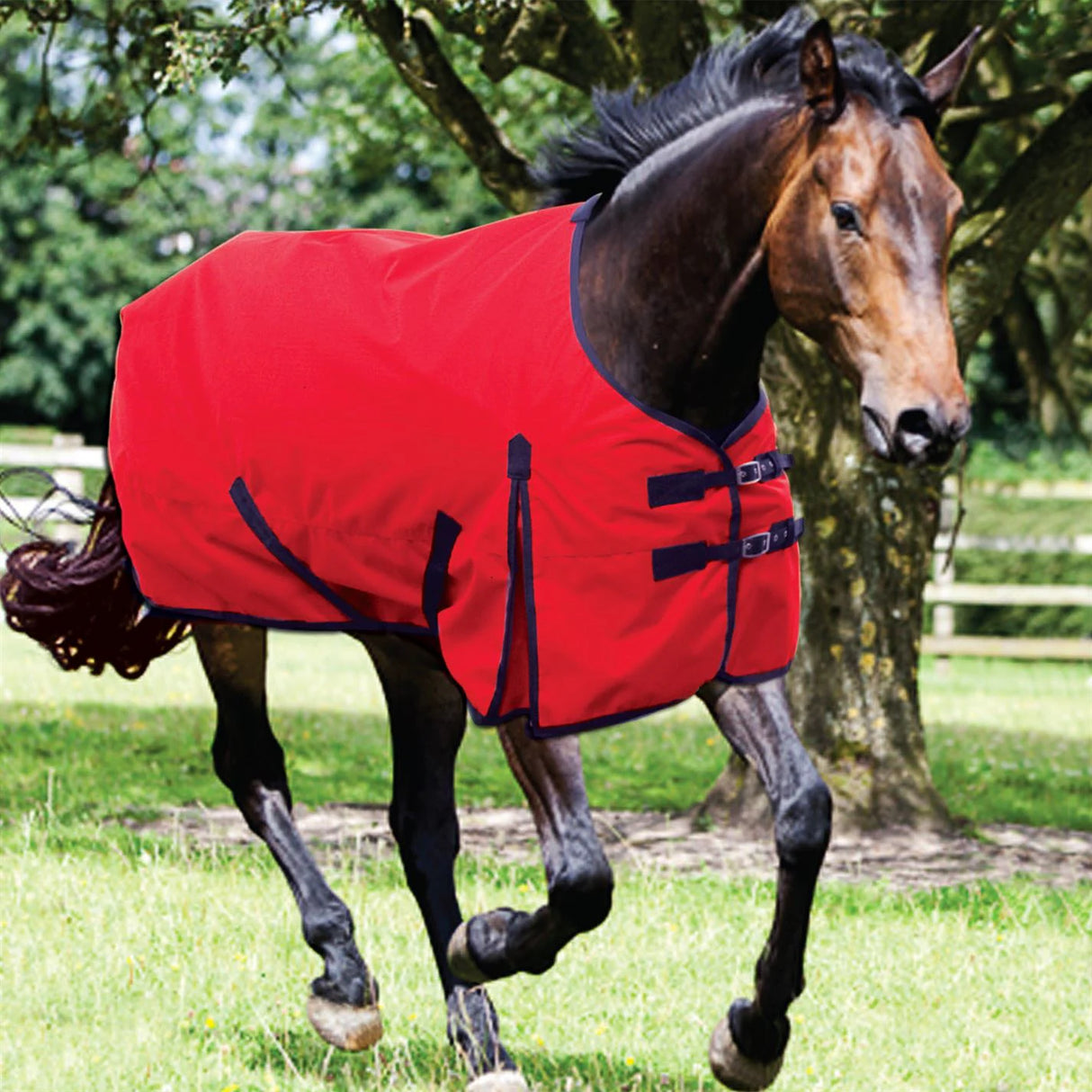 Requisite Standard 600 Lite Turnout 6ft9 - Red/Navy