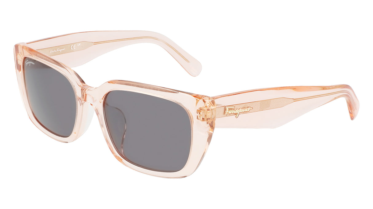 Salvatore Ferragamo SF1094SLB Womens Sunglasses - Pink