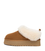Australian Shepherd UGG Glacial - Chestnut