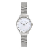 Ted Baker Womens Staciie 28mm Mother of Pearl Dial with Silver-Tone Mesh Strap