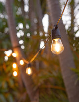 LumiFx 20 Bulb Wifi Smart Outdoor Festoon Lights