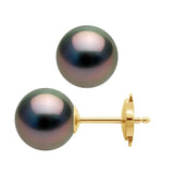 Earrings Tahitian Pearl Yellow Gold 9-10mm