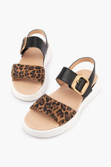 Klouds Isla Black Leopard Combo