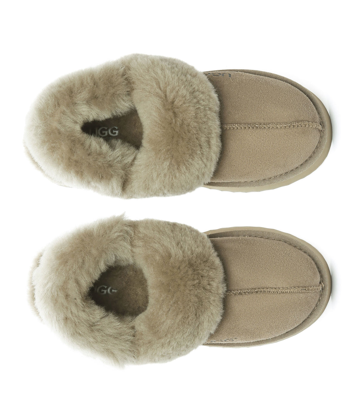 Australian Shepherd UGG Musa platform - Caribou