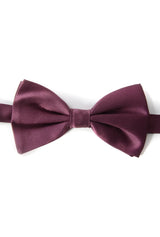 Dolce & Gabbana Men Bow Tie