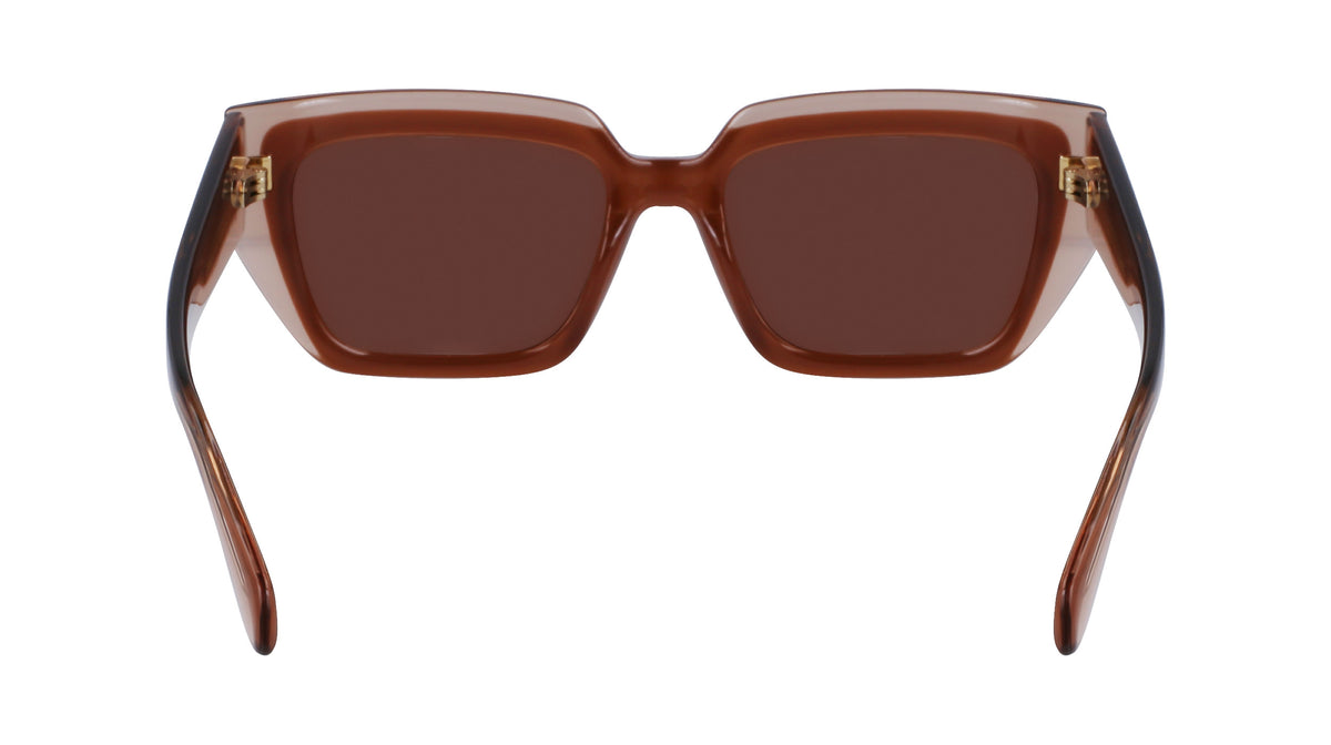 Salvatore Ferragamo SF2002S Womens Sunglasses - Transparent Nude/Rose