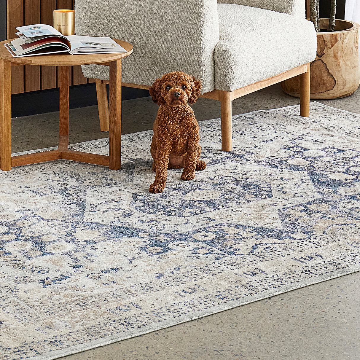 Providence 834 Blue Rug