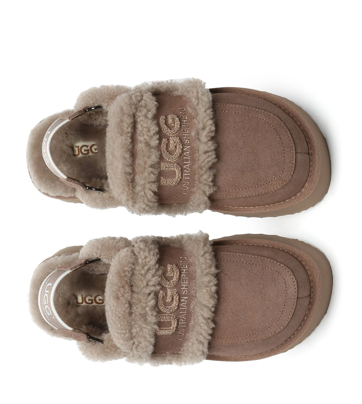 Rilee Platform in Brown