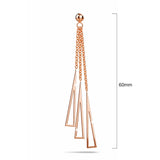 Boxed Make it Gold Earrings & Bangle Set in Rose Gold