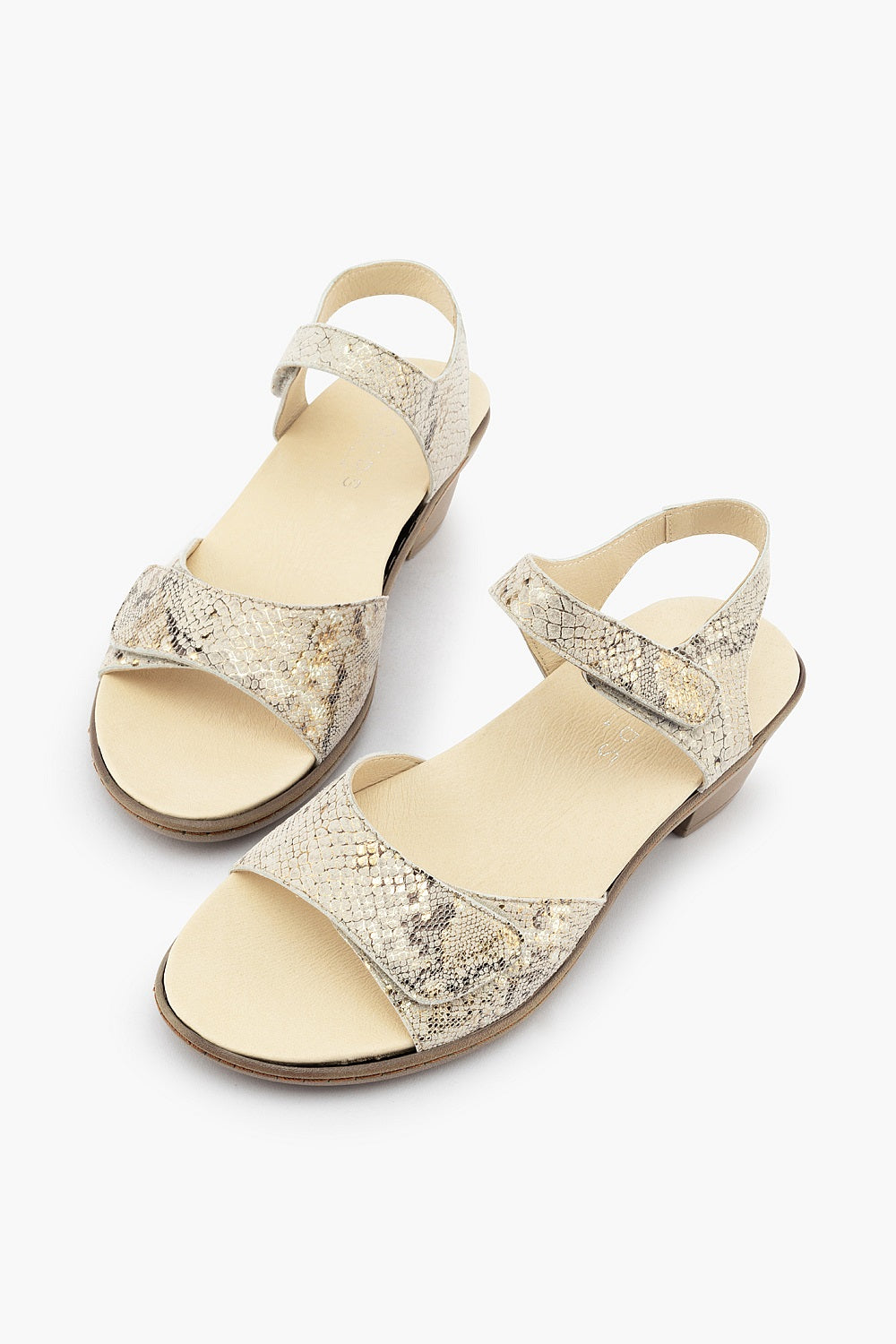 Klouds Griffin Taupe Snake