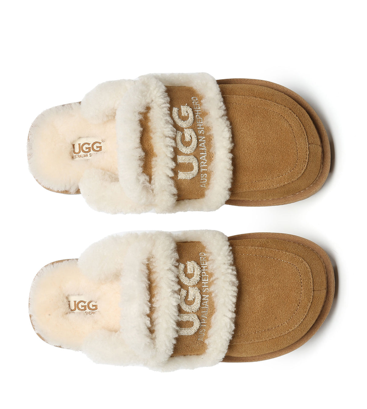 Australian Shepherd UGG Rilee - Chestnut