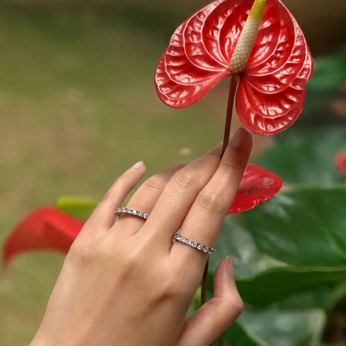 Bullion Gold Wide Paradise Ring