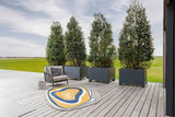 B&C Aura Ochre Outdoor Rug 477306