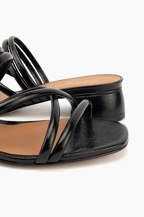 Gino Ventori Robbin - Black Patent