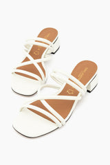 Gino Ventori Robbin - White Patent