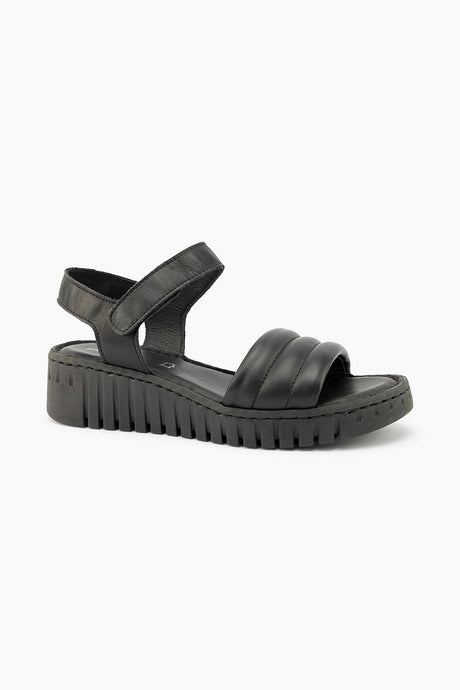 Gino Ventori Topic - Black