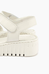 Gino Ventori Topic - White