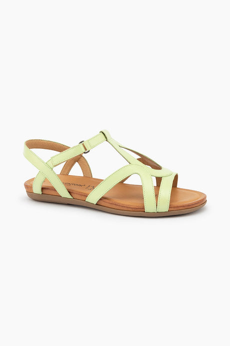 Gino Ventori Tupelo - Leaf Green