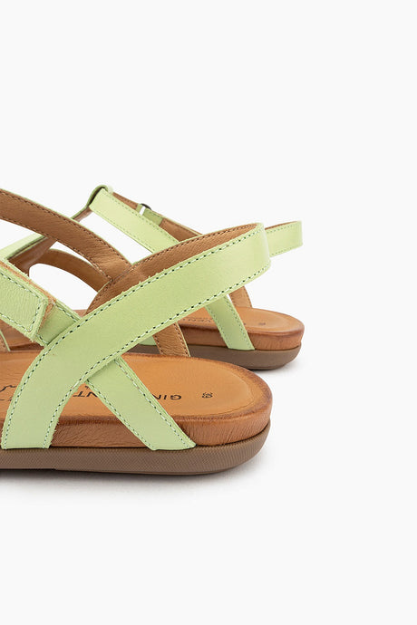Gino Ventori Tupelo - Leaf Green