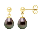 Manufacture Royale Drop Drop Earrings Tahitian Pearl Yellow Gold 8-9mm