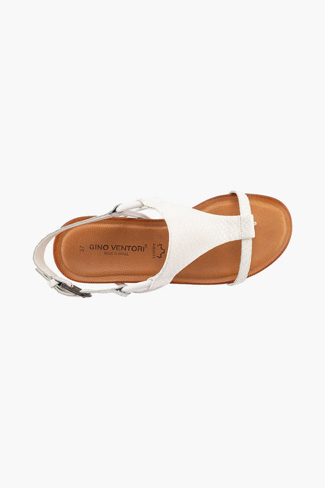 Gino Ventori Classic Polaris - White